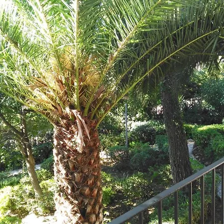 Cliper B-2 Apartament *